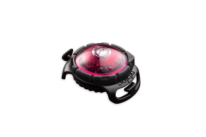 Hovedbilde Orbiloc dog dual rosa